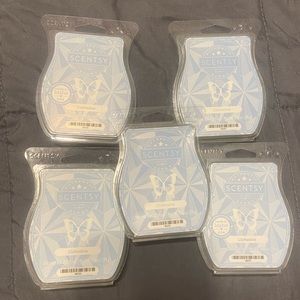 Lot of Scentsy clothesline wax bars